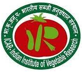 indian-institute-of-vegitable-research